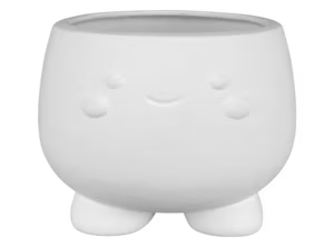 Kutie Container