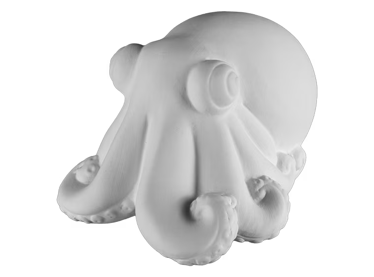 PA: Ringo the Octopus