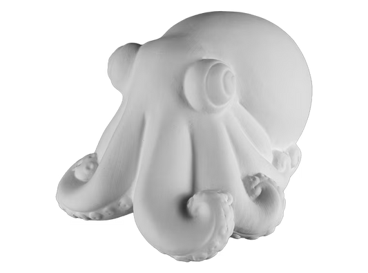 PA: Ringo the Octopus
