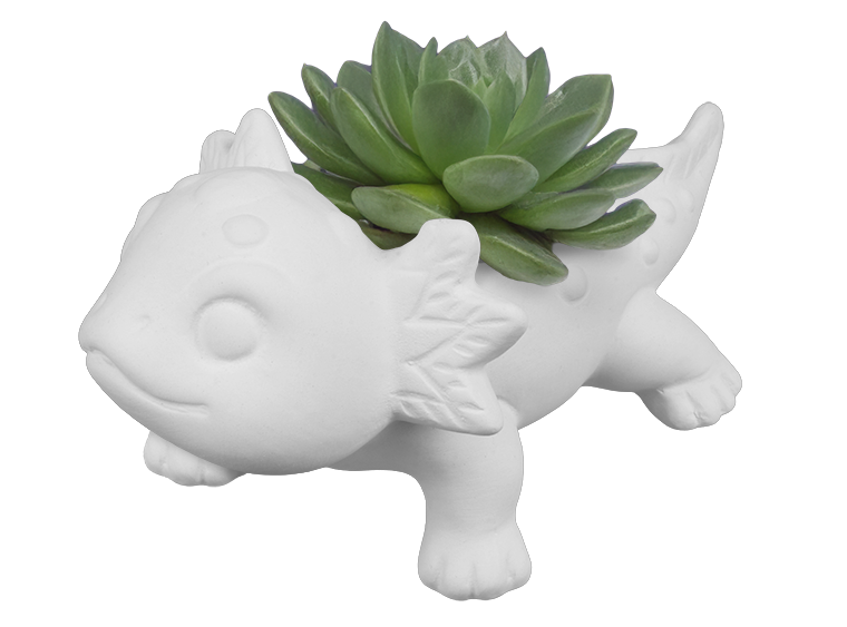 Lindsey the 'Lotl Container