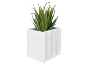 Book Worm Container (3 books)